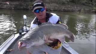 Trolling for Cod  SHIMANO AUSTRALIA [upl. by Pandora]