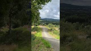 Glentress Black Taster Trail  Awesome Jump line 🙌 [upl. by Rosecan]