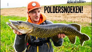 Poldersnoeken  VisTD Vlog 12 [upl. by Serle]