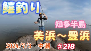 【愛知県釣り】202473知多半島 美浜＆豊浜桟橋＃218 [upl. by Titos]