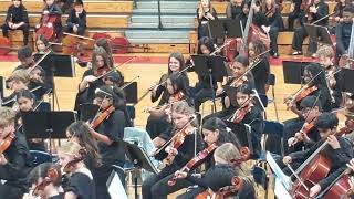 orchestra schoolorchestra viola schoolmusical schoolconcert music violin musicconcert usa [upl. by Hayotal597]