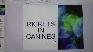 Rickets in Dogs [upl. by Ilecara]