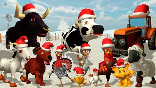 Los animales de la Granja de Zenón bailando  Juego del pollito y el tractor en Navidad [upl. by Nayve]