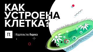 Как устроена клетка [upl. by Nalhsa]