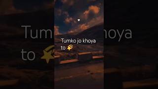 tmko Jo khoya tohshorts lyrics short trending  viralshorts feel [upl. by Hillier]