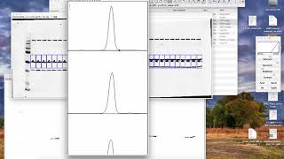 Janes lab immunoblot densitometry in ImageJ [upl. by Airebma]