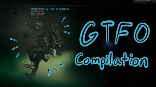 Muyskerm Markiplier and a Few Others Play GTFO  Mega Compilation [upl. by Benkley]