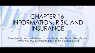 Chapter 16 Information Risk and Insurance [upl. by Aube]