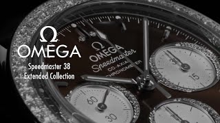 Fisrt Look at the Omega Speedmaster 38 Extended Collection [upl. by Arde837]