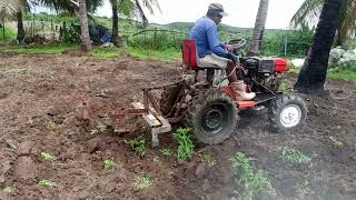 ARADO FICOU TOP Trator caseiro arando terra com arado de animal [upl. by Gregg522]