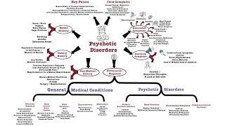 Psychotic Disorders [upl. by Ferde]