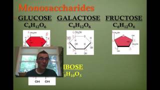 Mono amp Disaccharides [upl. by Dami]