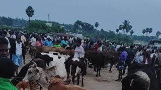 Kundarapalli Friday market Krishnagiri district [upl. by Beth792]