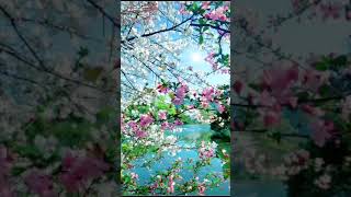 radhakrishna Nature vedio songs [upl. by Echikson]