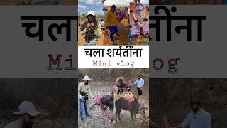 चला शर्यतींना MINI VLOGS 😍 [upl. by Akram]