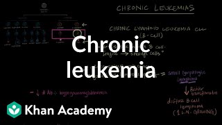 Chronic leukemia  Hematologic System Diseases  NCLEXRN  Khan Academy [upl. by Lyle]