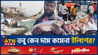 ইলিশের দাম বেশি থাকার নেপথ্য কারণ কী Hilsa Fish Hilsa High Price Reason  Not Export Hilsa  Puja [upl. by Neleb]