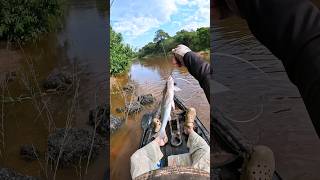 Pescando Blanquillo kayaktunapro blanquillo [upl. by Blaire]