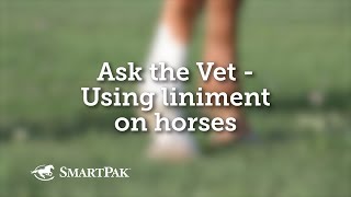 Ask the Vet  Using liniment on horses [upl. by Osmo]