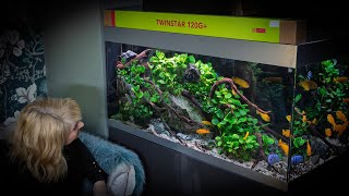 ATTRACTIVE AQUARIUM LIGHTING UPGRADES 4K [upl. by Nairadas]