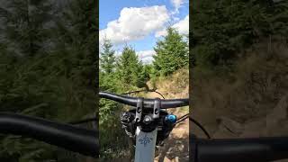 Jake auf Enduro im Bike Park Willingen [upl. by Yrrak755]