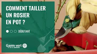 TUTO Comment tailler un rosier en pot  – Jardinerie Gamm vert [upl. by Asserak]