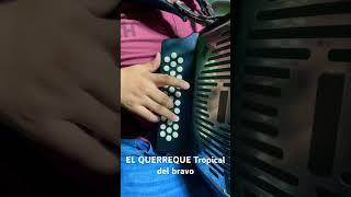 EL QUERREQUE Tropical Del Bravo [upl. by Verlee]