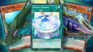 Shark Combos YuGiOh Master Duel [upl. by Sefton666]