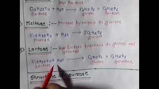 Disaccharidessucrose maltose lactoseStructure of sucrose [upl. by Suneya]