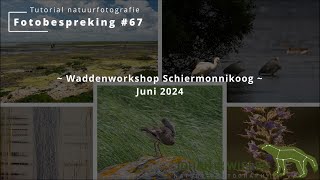 Fotobespreking 67  Waddenworkshop Schiermonnikoog  juni 2024 [upl. by Lay]