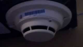 Siemens PE 11 Smoke Detector Is Wired To The Fire Alarm System [upl. by Anahs120]