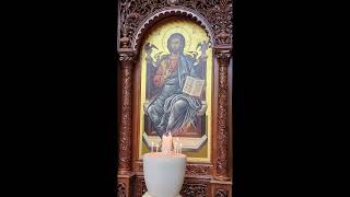 Divine Holy Liturgy  Arabic  21072024 [upl. by Snell]