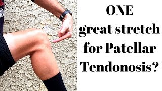 ONE perfect stretch for patellar tendonosis [upl. by Nauj]