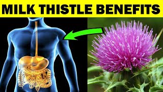 11 Ways MILK THISTLE Supports Your Health [upl. by Eed]