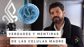 VERDADES Y MENTIRAS DE LAS CÉLULAS MADRE [upl. by Skiba]