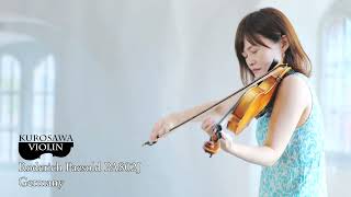 Roderich Paesold PA802J ローデリヒ・ペゾルト PA802J バイオリン紹介・演奏【Violinist：漆原直美】 [upl. by Ayoted481]