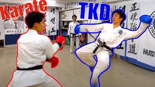 Karate amp Taekwondo  The 1 Mutual Principle EVERYONE Overlooks [upl. by Neona]