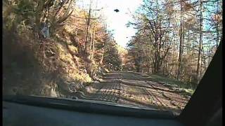 WRC Onboards Wales GB 2010  Loeb SS12 Requested by 19Franjoe [upl. by Coralie87]