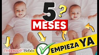 🔔👶🏼 EJERCICIOS para ESTIMULAR BEBÉS de 5 a 6 MESES Estimulación temprana [upl. by Repohtsirhc]