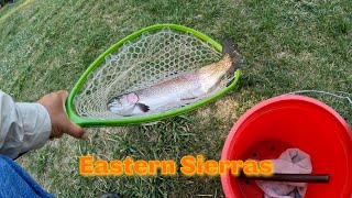 Episode 137 Eastern Sierra Trout Hunt Bishop to Tahoe [upl. by Olshausen]