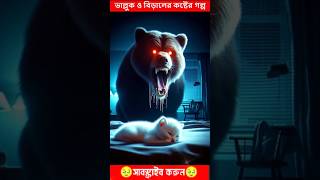 ভাল্লুক ও বিড়ালের কষ্টের গল্প 💔Bears Fight Kittens Revenge A Twist of Fate 🐻🔪 shorts catcat [upl. by Amle]