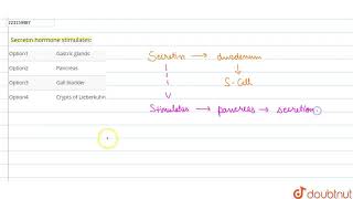 Secretin hormone stimulates  CLASS 12  DIGESTION AND ABSORPTION  BIOLOGY  Doubtnut [upl. by Avenej]