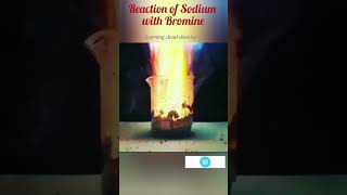 Halogen Reactivitychem experimentexothermic reaction  short [upl. by Quartis809]