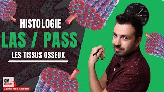 Le TISSU OSSEUX  🦴 Ostéoblastes Ostéoclastes remodelage osseux Rien de bien compliqué [upl. by Goltz]