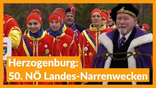 50 NÖ LandesNarrenwecken in Herzogenburg [upl. by Ailuig]