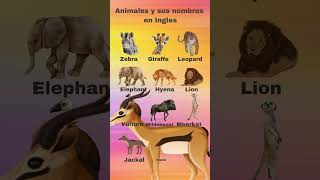 Nombres de animales en Ingles shorts [upl. by Nit302]