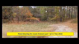 Metal Detecting the woods Delaware part 1 of 2 7 Nov 2024 [upl. by Nnylear]