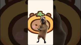 Capybara dance lol [upl. by Brandy]