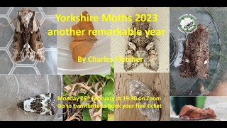 Yorkshire Moths 2023 [upl. by Inga]