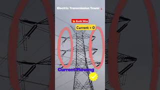 Gardening Wire Of Electric Tower  Earthing Wire of Electric Transmission Tower Knowledge Video [upl. by Ursala]